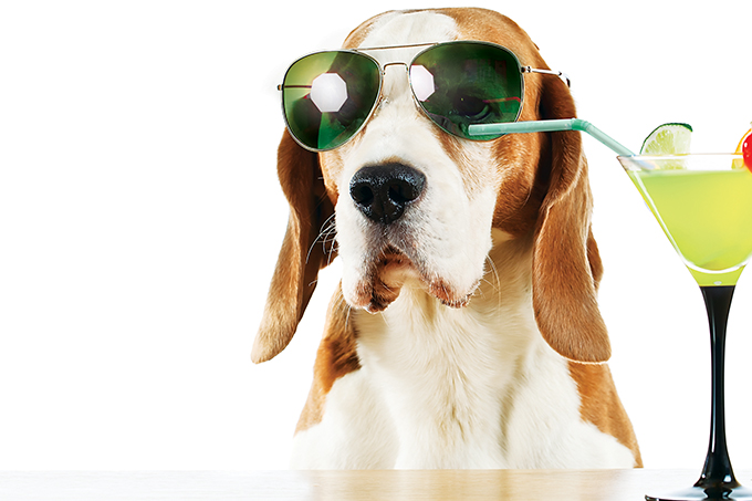 The mist over the mountains