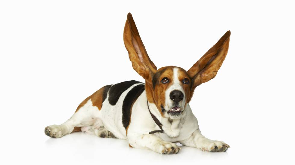 My beloved typewriter